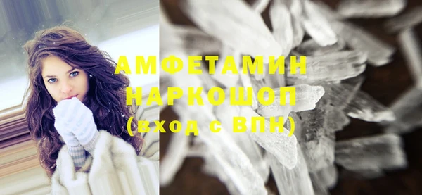 МДПВ Бородино
