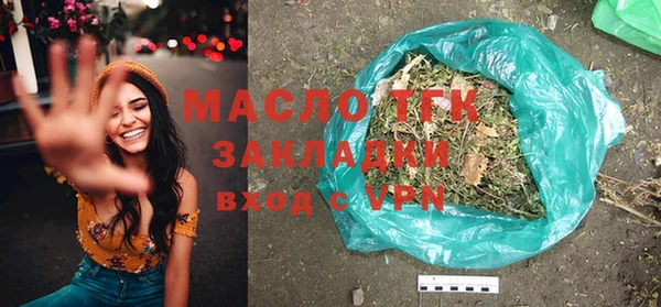 МДПВ Бородино