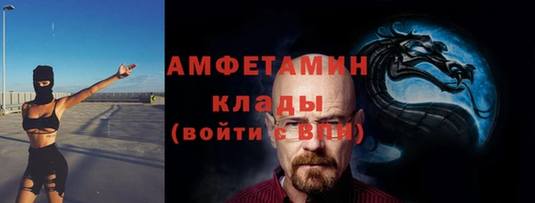 МДПВ Бородино