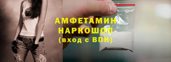МДПВ Бородино