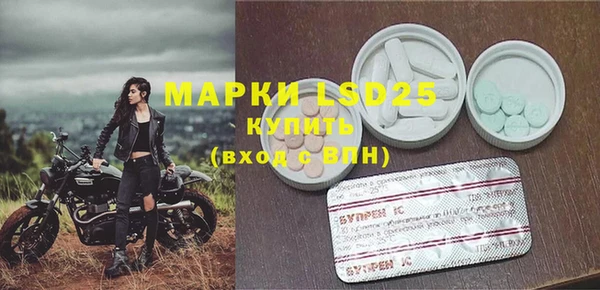 МДПВ Бородино