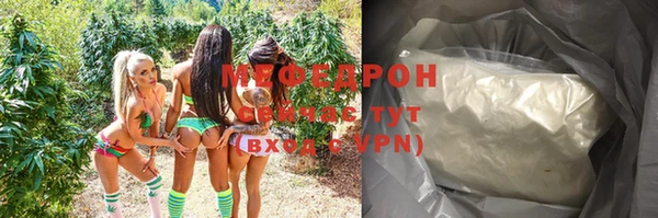 МДПВ Бородино