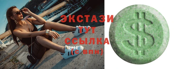 МДПВ Бородино
