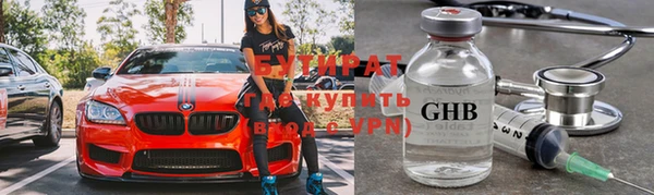 МДПВ Бородино