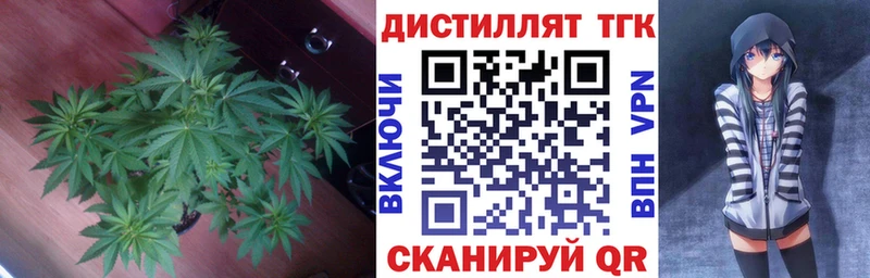 ОМГ ОМГ   Шадринск  ТГК Wax 