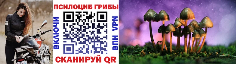 наркотики Шадринск Галлюциногенные грибы мухоморы